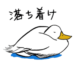 Wow lazy animals sticker #5262811