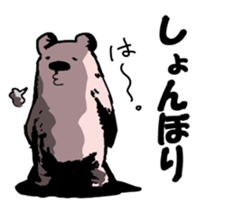 cutepolabear sticker #5263770