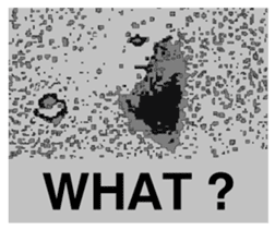 The UFO Files ~ 1 sticker #5264650