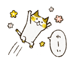 Cute cat 'Cyanpachi' sticker #5264813