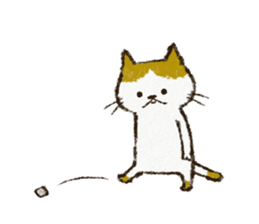 Cute cat 'Cyanpachi' sticker #5264829