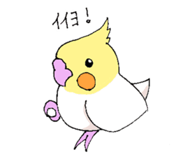 shiro parakeet sticker #5265156