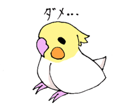 shiro parakeet sticker #5265157