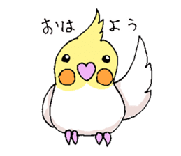 shiro parakeet sticker #5265158