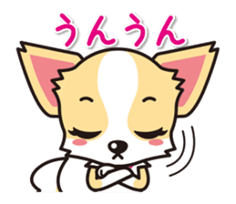 Cute Chihuahuas Aizuchi Stickers sticker #5266356