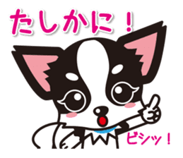 Cute Chihuahuas Aizuchi Stickers sticker #5266365