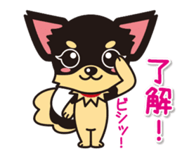 Cute Chihuahuas Aizuchi Stickers sticker #5266366