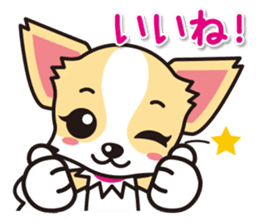 Cute Chihuahuas Aizuchi Stickers sticker #5266368