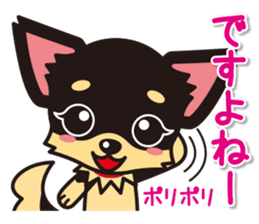 Cute Chihuahuas Aizuchi Stickers sticker #5266372