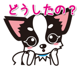 Cute Chihuahuas Aizuchi Stickers sticker #5266387