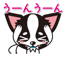 Cute Chihuahuas Aizuchi Stickers sticker #5266393