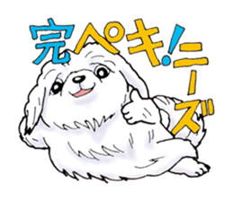 40 kinds of dogs & Dajare . sticker #5269121