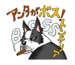 40 kinds of dogs & Dajare . sticker #5269130