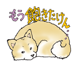 40 kinds of dogs & Dajare . sticker #5269143