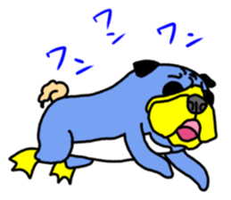 Why? pug-dog or penguin? sticker #5272590