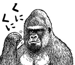 Gorilla gorilla gorilla 4 sticker #5276008