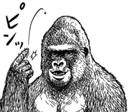 Gorilla gorilla gorilla 4 sticker #5276010