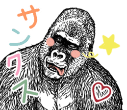 Gorilla gorilla gorilla 4 sticker #5276014