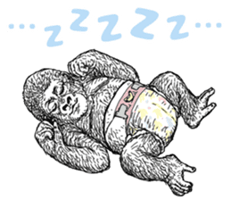 Gorilla gorilla gorilla 4 sticker #5276016