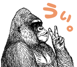 Gorilla gorilla gorilla 4 sticker #5276017
