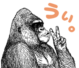 Gorilla gorilla gorilla 4 sticker #5276017