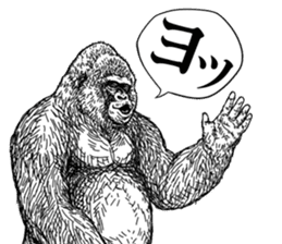Gorilla gorilla gorilla 4 sticker #5276018