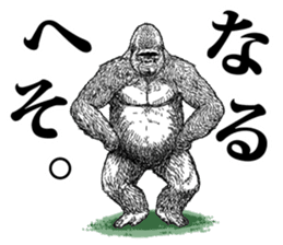 Gorilla gorilla gorilla 4 sticker #5276022