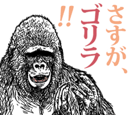 Gorilla gorilla gorilla 4 sticker #5276023