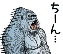 Gorilla gorilla gorilla 4 sticker #5276024