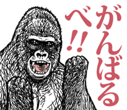 Gorilla gorilla gorilla 4 sticker #5276030