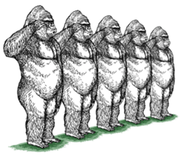 Gorilla gorilla gorilla 4 sticker #5276034