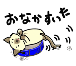 roki&chick 2 sticker #5277261