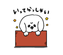 Gintaro of a white Pekingese dog sticker #5278918