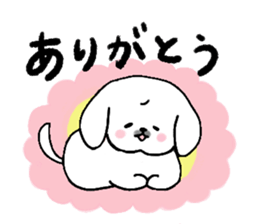 Gintaro of a white Pekingese dog sticker #5278924