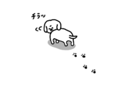 Gintaro of a white Pekingese dog sticker #5278925