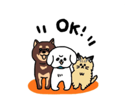 Gintaro of a white Pekingese dog sticker #5278932