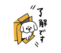 Gintaro of a white Pekingese dog sticker #5278934