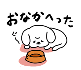 Gintaro of a white Pekingese dog sticker #5278936