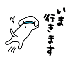 Gintaro of a white Pekingese dog sticker #5278941