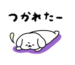 Gintaro of a white Pekingese dog sticker #5278942