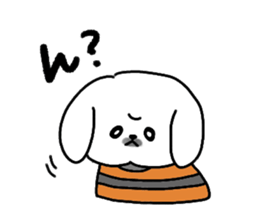 Gintaro of a white Pekingese dog sticker #5278945