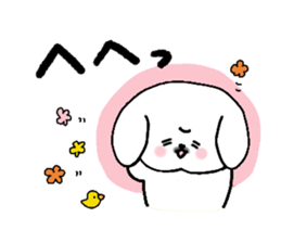 Gintaro of a white Pekingese dog sticker #5278948