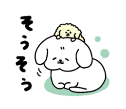 Gintaro of a white Pekingese dog sticker #5278950