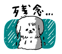 Gintaro of a white Pekingese dog sticker #5278951