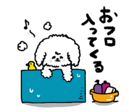 Gintaro of a white Pekingese dog sticker #5278952