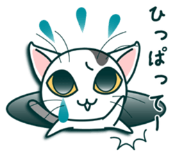 kitty cat ,You can do it! sticker #5279651