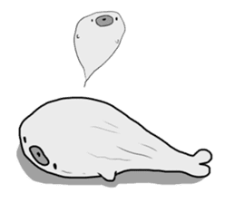 Baby of the gray seal sticker #5283079