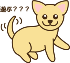 smooth chihuahua sticker #5283556