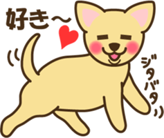smooth chihuahua sticker #5283557