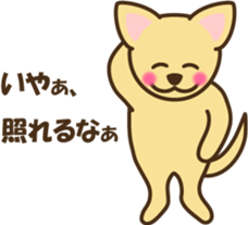 smooth chihuahua sticker #5283563